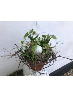 Påskepyntet forår´s sammenplantning – friske blomster hos Fru P