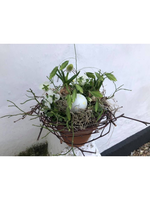 Påskepyntet forår´s sammenplantning – friske blomster hos Fru P Påskepyntet forår´s sammenplantning – friske blomster hos Fru P
